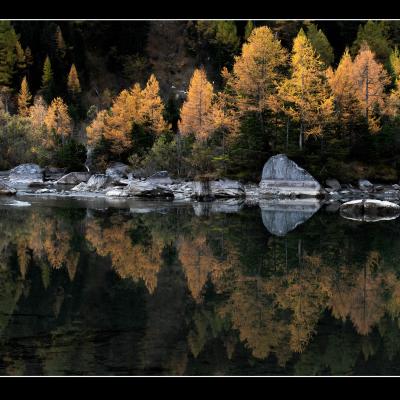 Lac de Derborence - CH72