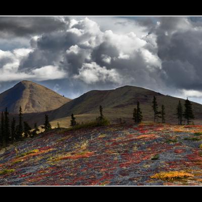 Automne sur la Dempster - YUKALAS20