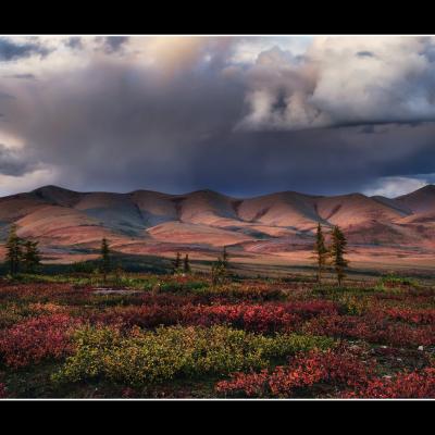 Yukon-Alaska