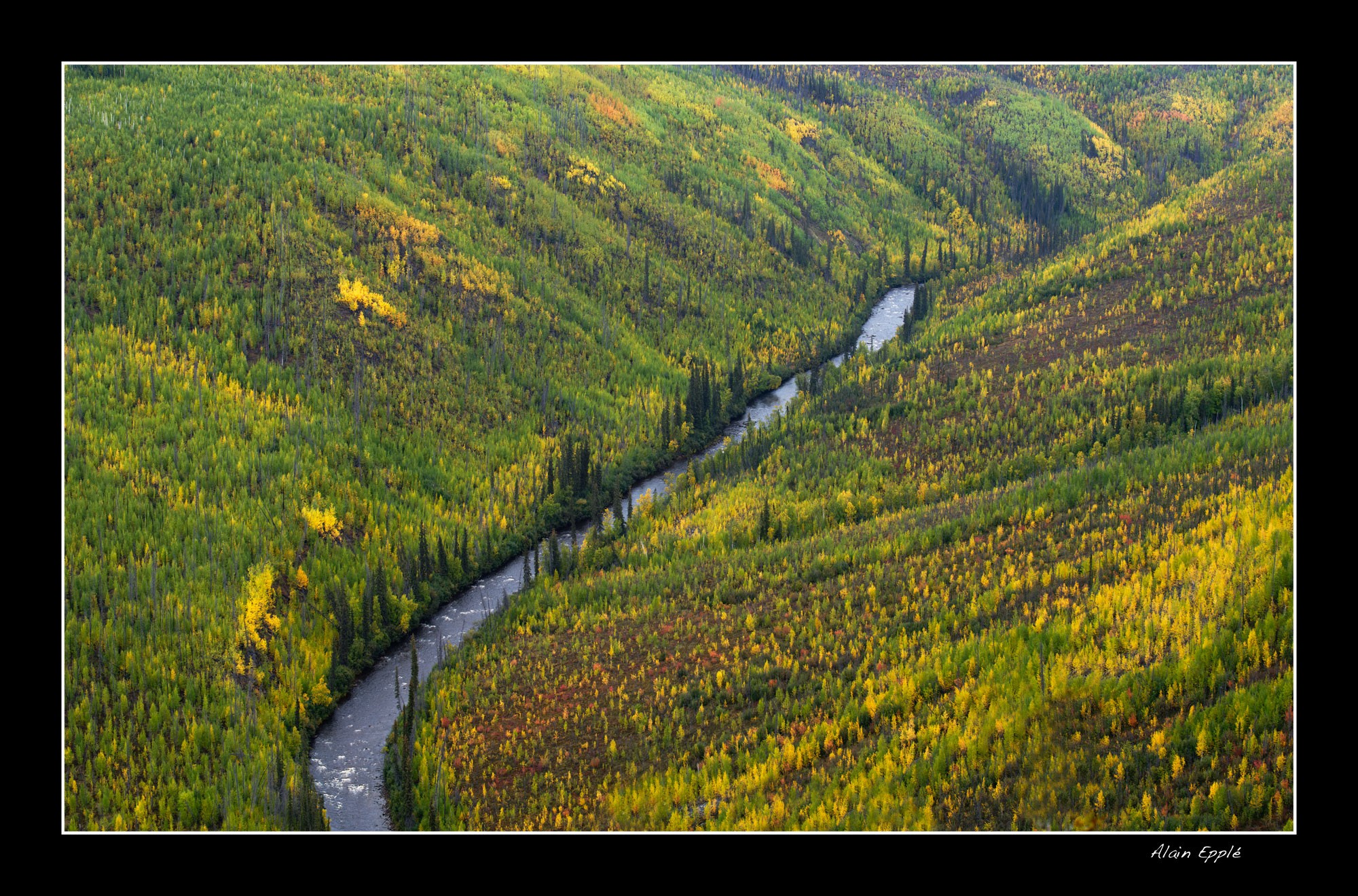 Alaska River - YUKALAS33