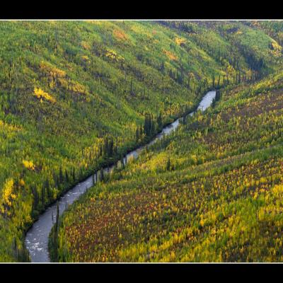 Alaska River - YUKALAS33