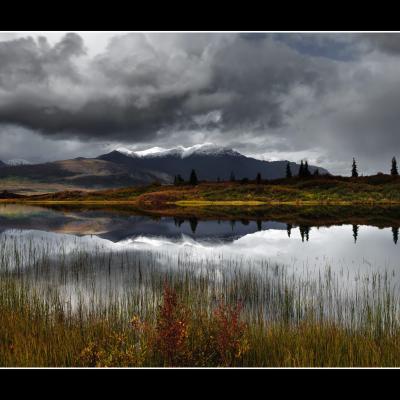 Le long de la Denali Highway - YUKALAS42