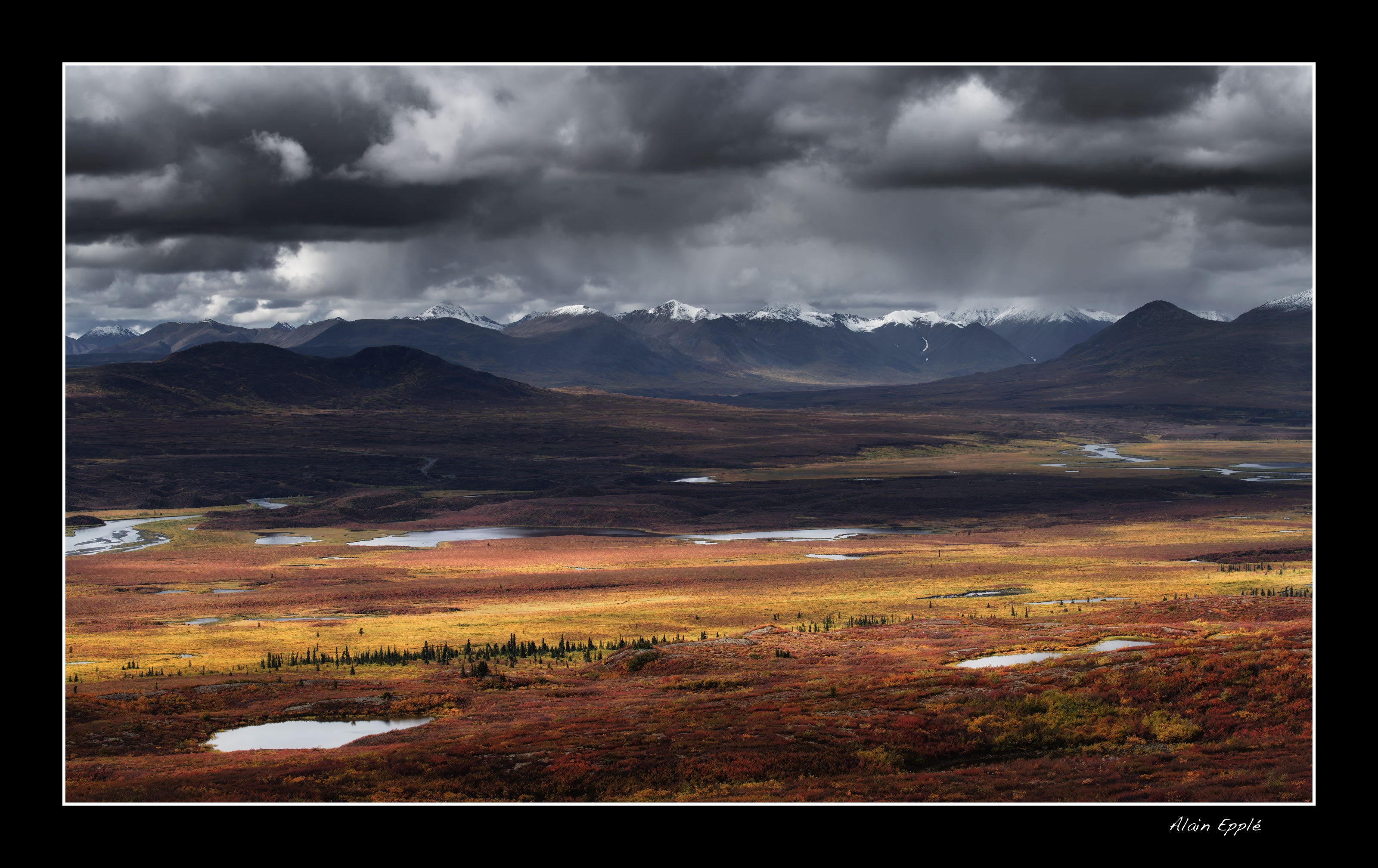 Le long de la Denali Highway - YUKALAS44