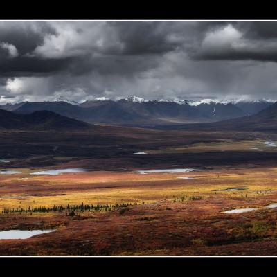 Le long de la Denali Highway - YUKALAS44