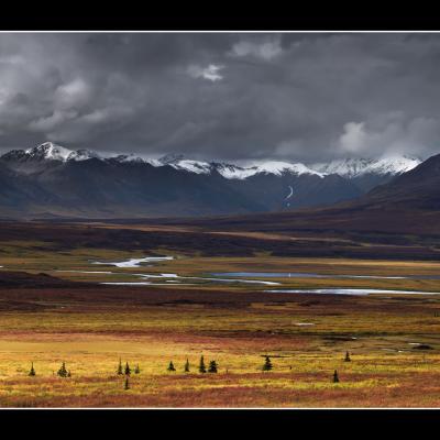 Le long de la Denali Highway - YUKALAS45