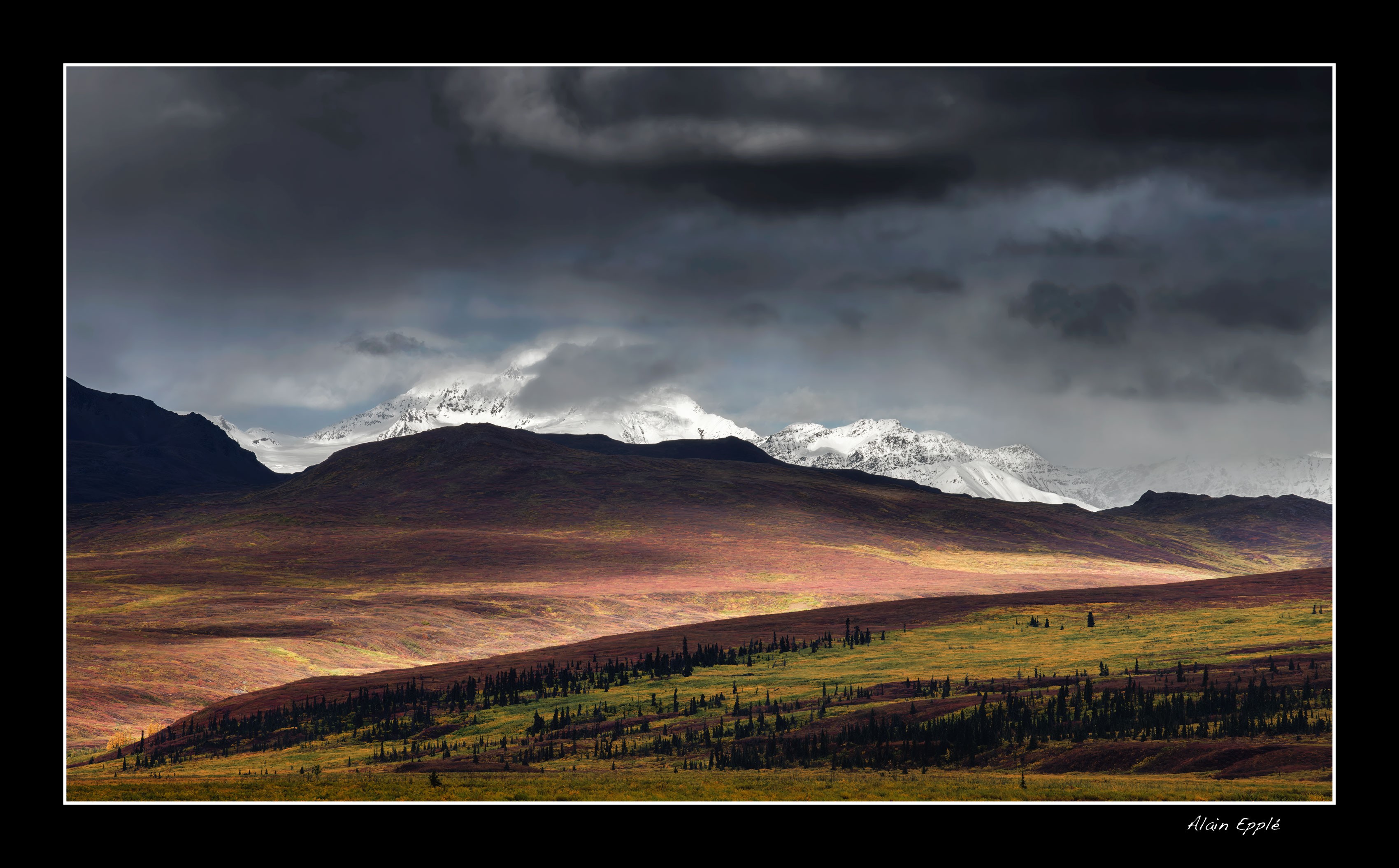 Le long de la Denali Highway - YUKALAS46