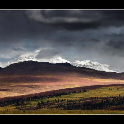 Le long de la Denali Highway - YUKALAS46
