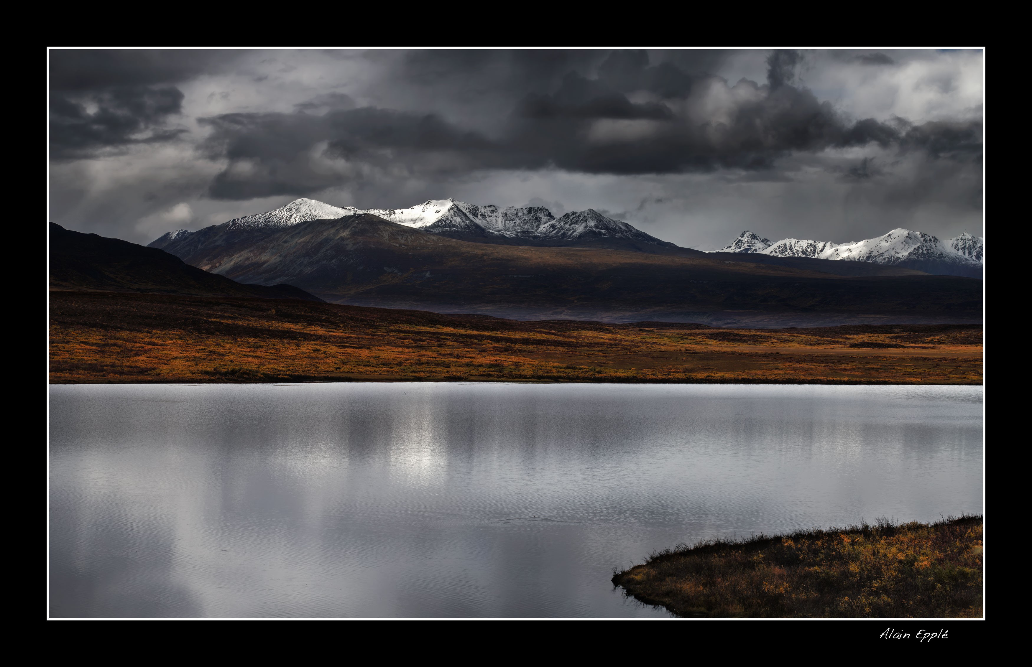 Le long de la Denali Highway - YUKALAS47