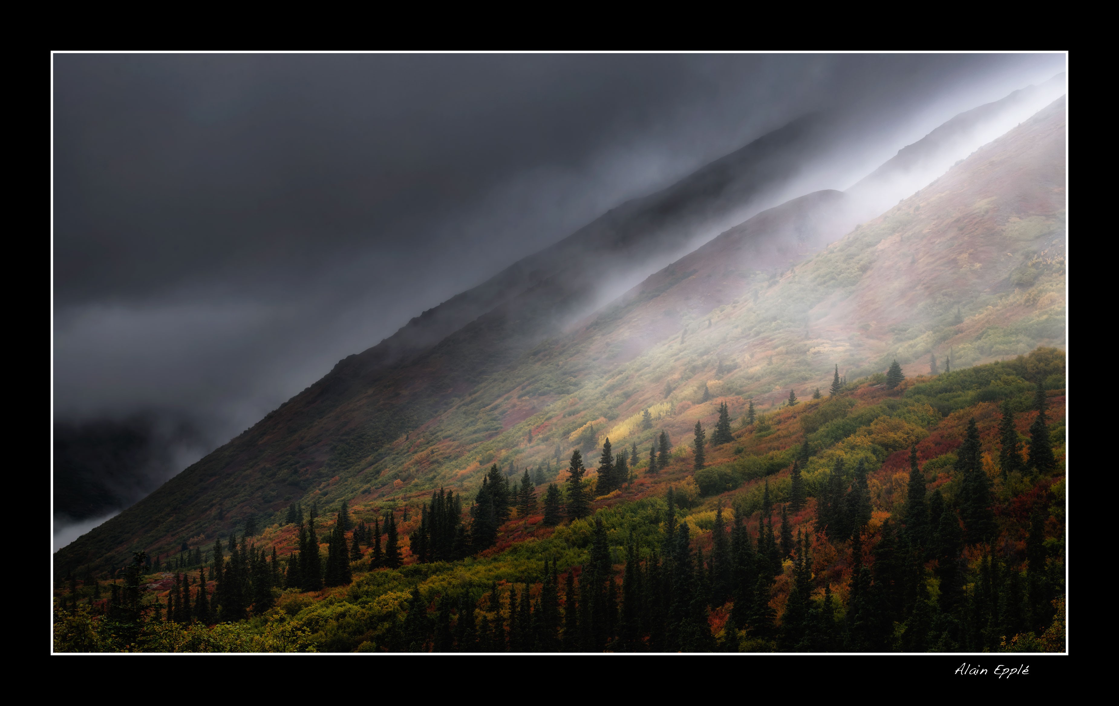 Automne sur la Denali -YUKALAS48