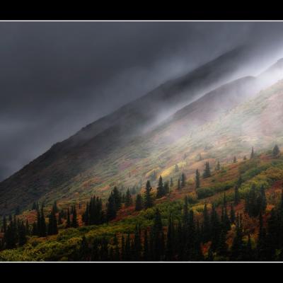 Automne sur la Denali -YUKALAS48