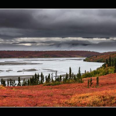 Le long de la Denali Highway - YUKALAS49