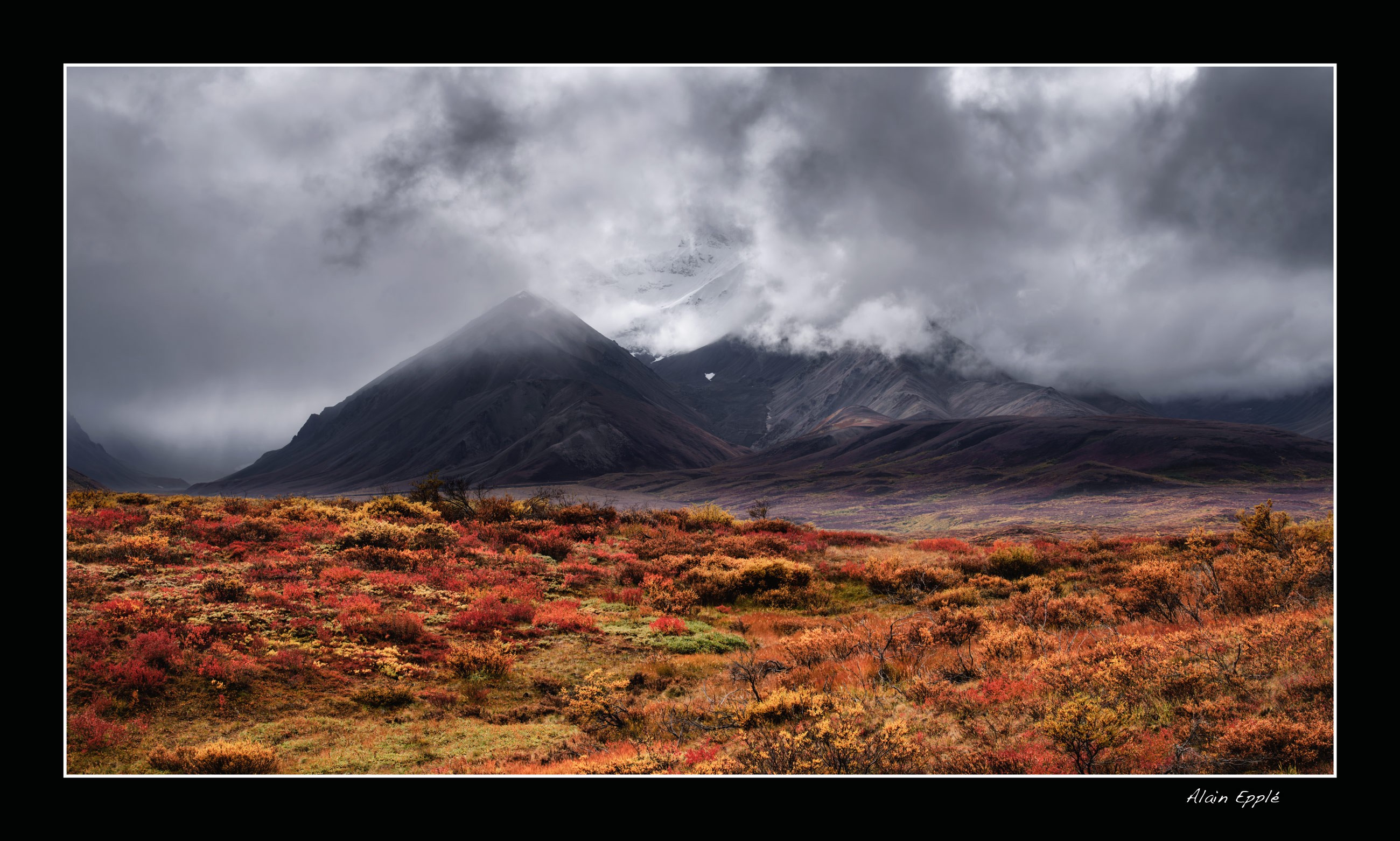 Dans le Denali - YUKALAS55