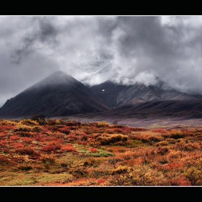 Dans le Denali - YUKALAS55