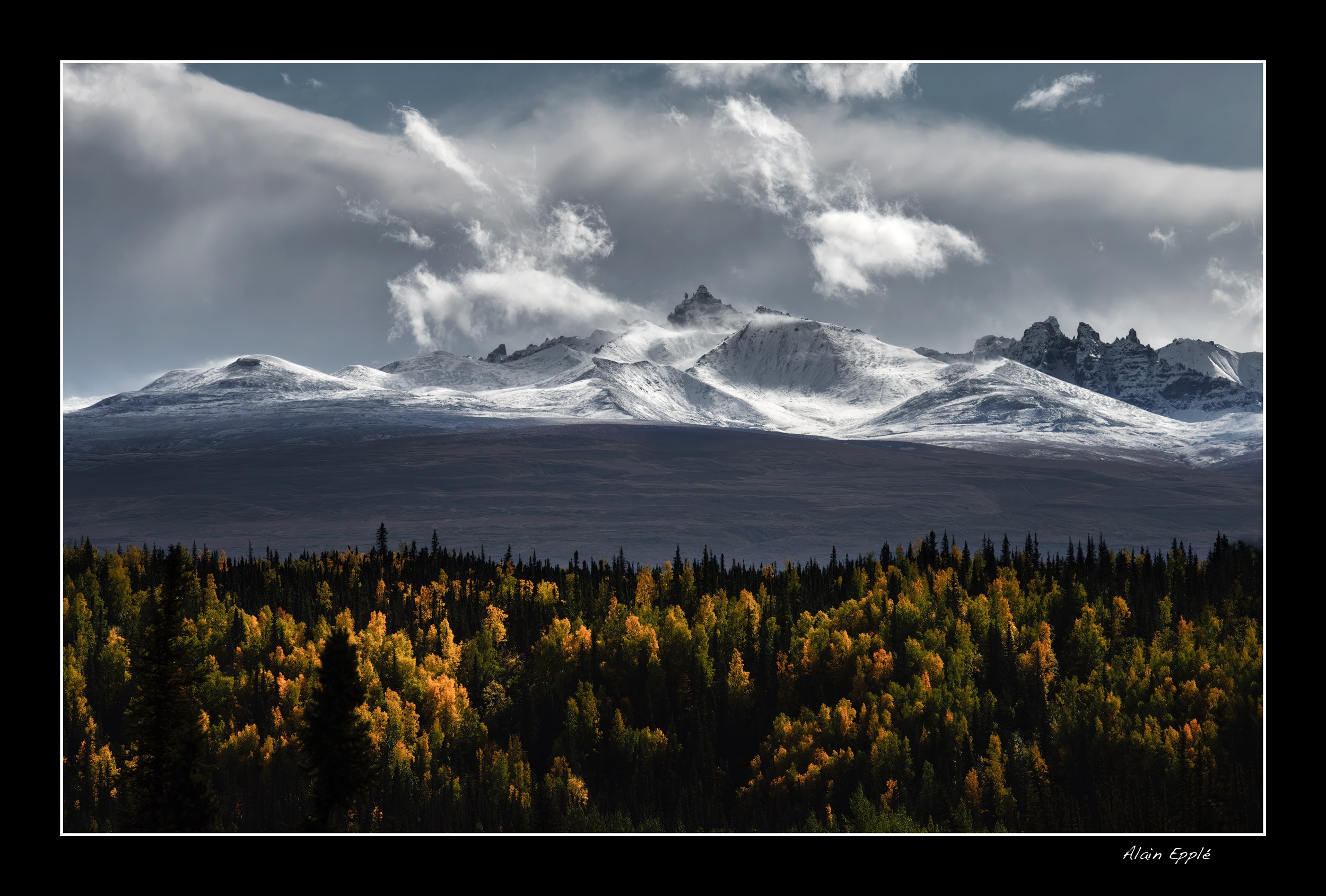 Le long de la Glenn Highway - YUKALAS60