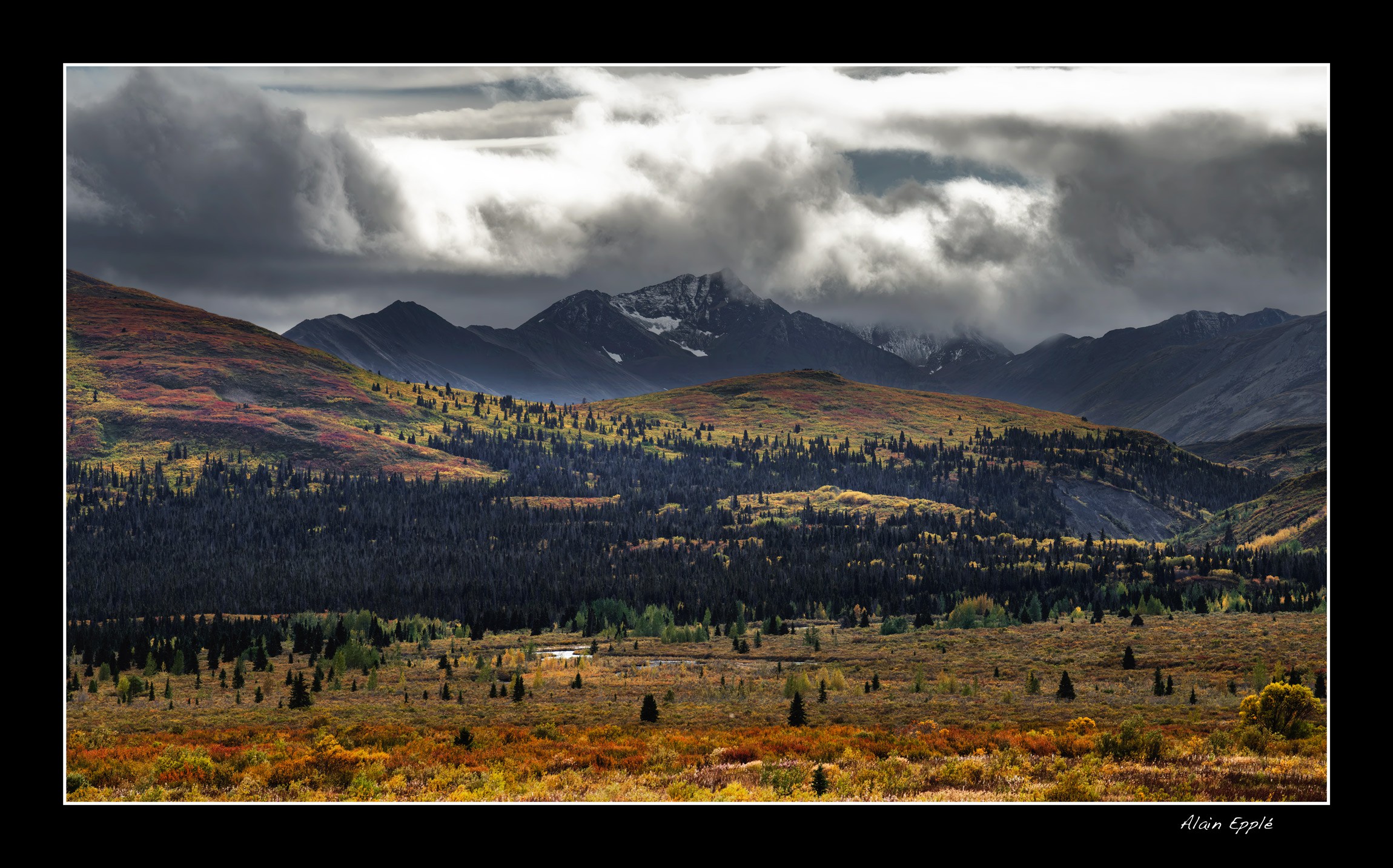 Sur la Haines Highway - YUKALAS63