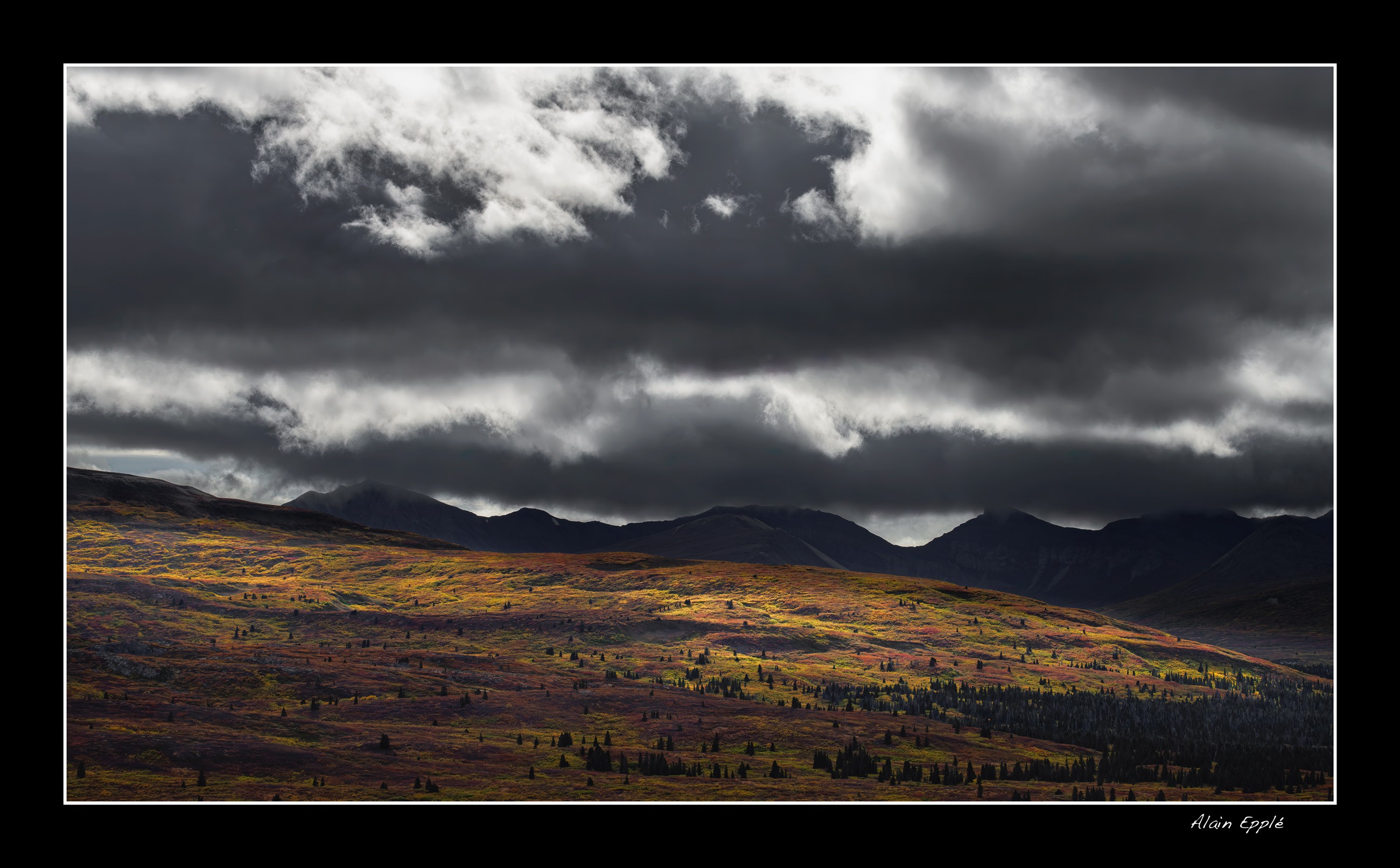 Sur la Haines Highway - YUKALAS64