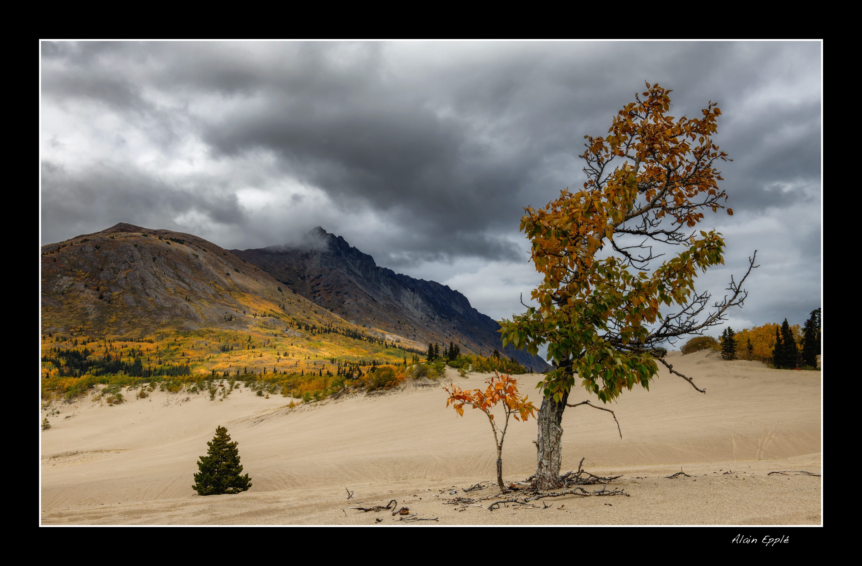 Carcross Desert - YUKALAS65