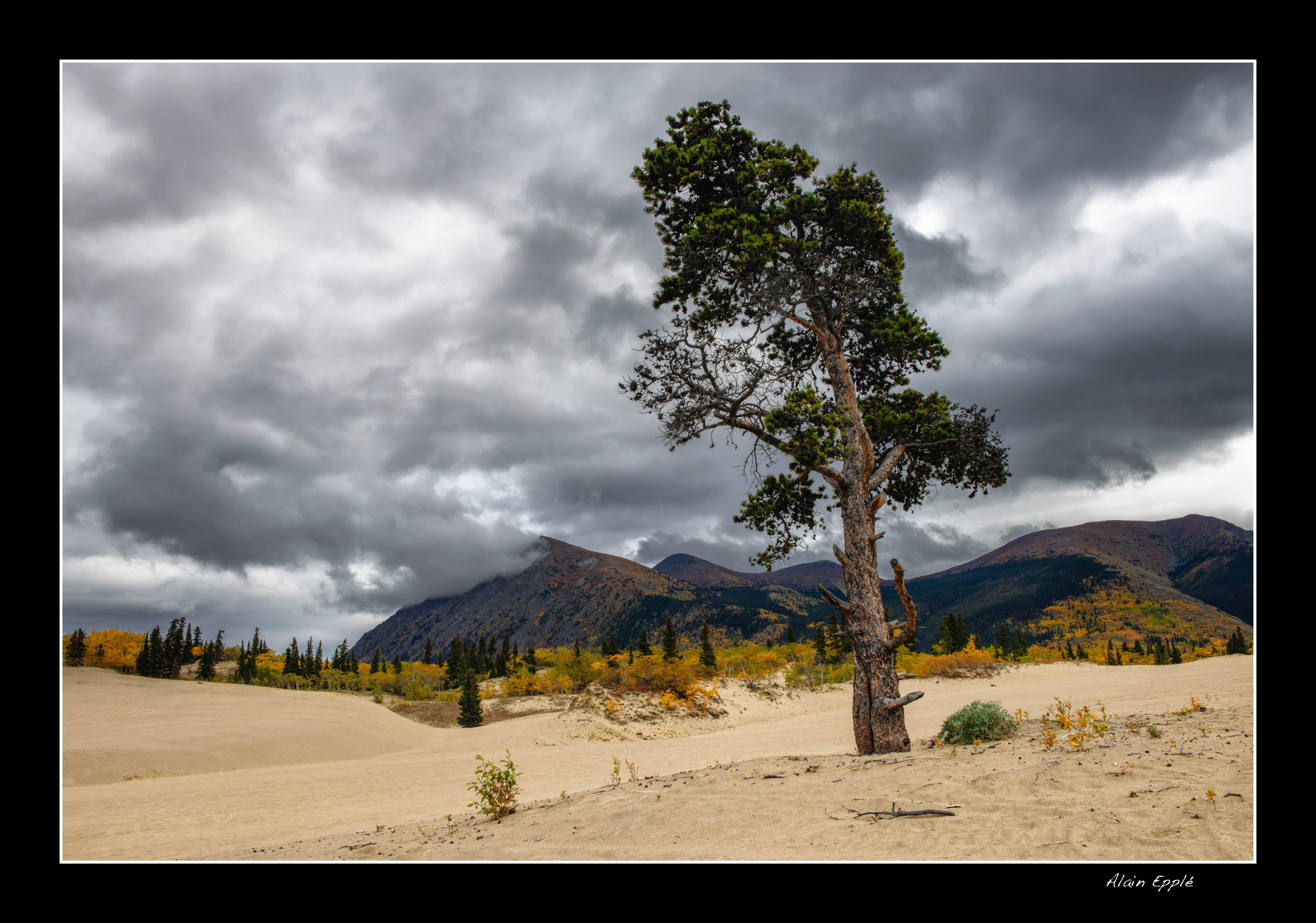 Carcross Desert - YUKALAS66