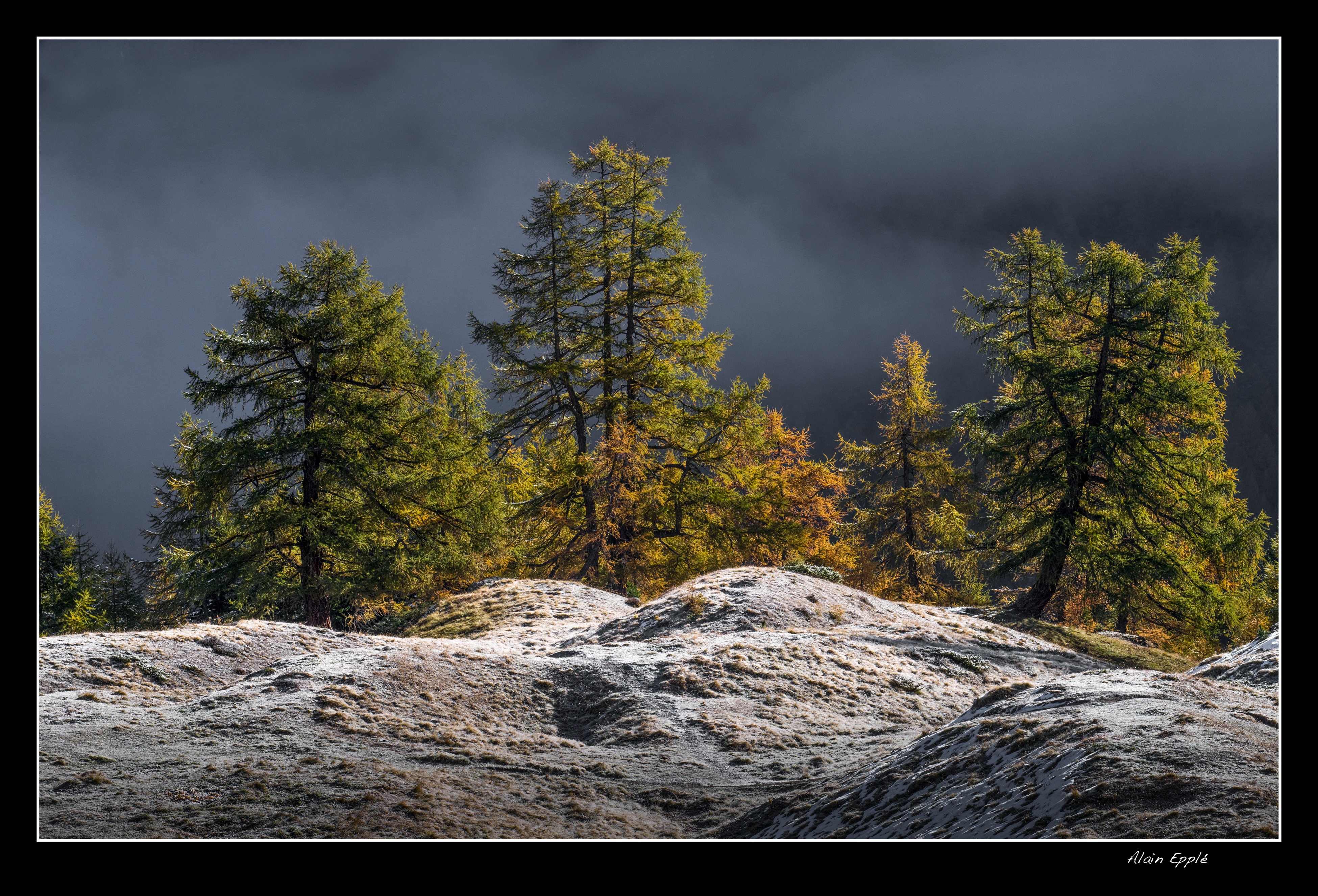 Automne dans le val d'Herens - CH55