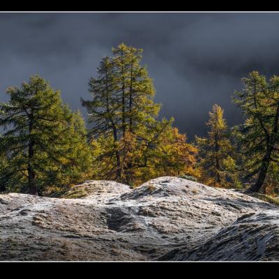 Automne dans le val d'Herens - CH55