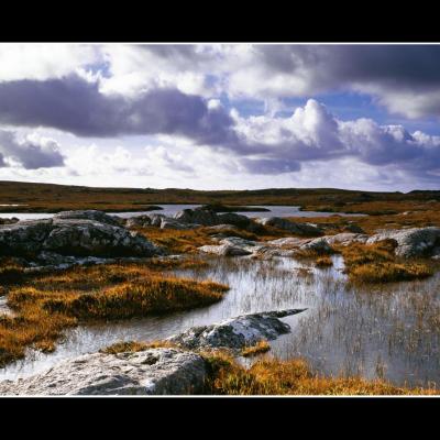 Lacs durness