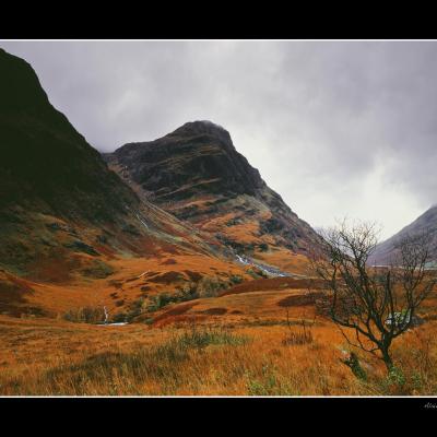 Three sisters