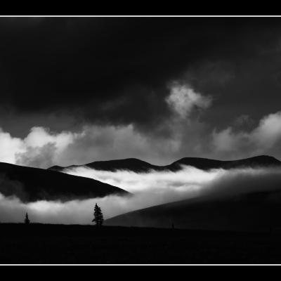 Dempster - YUKALAS77