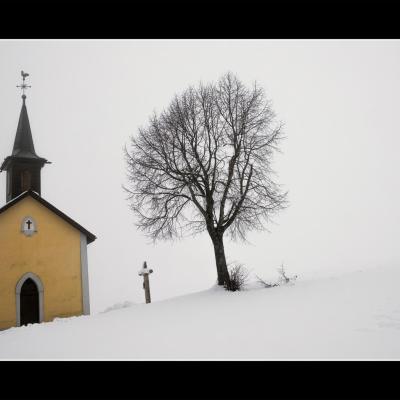 Bosse4nx copie copie