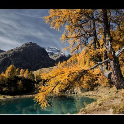 Herens 3a copie copie